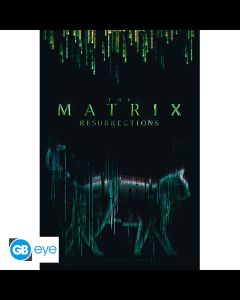 Matrix Resurrections "Katze" Poster