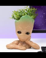 Groot Blumentopf